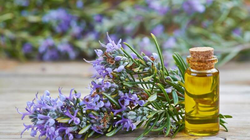 How To Make Rosemary Oil