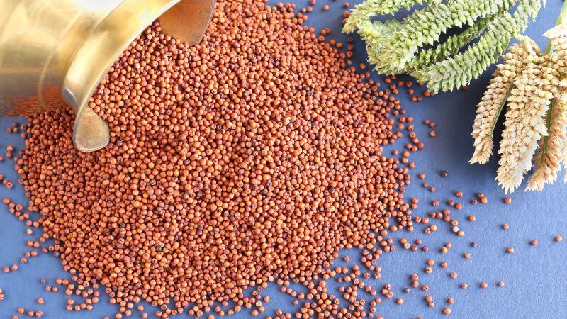 Ragi grain