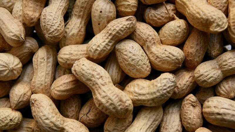 peanuts is love