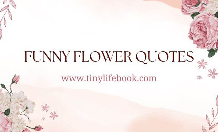 Funny flower quotes