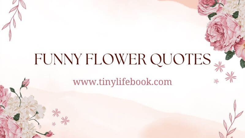 Funny flower quotes