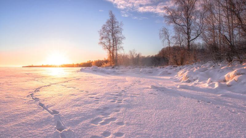 Snowy morning