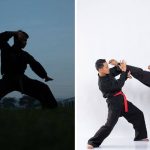 Premier Martial arts