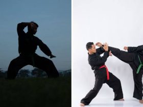 Premier Martial arts