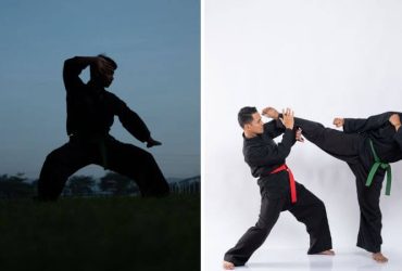 Premier Martial arts