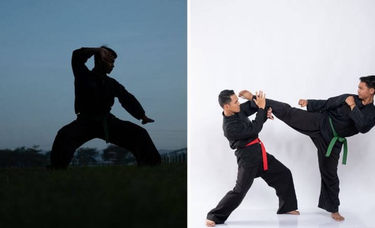 Premier Martial arts