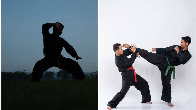 Premier Martial arts