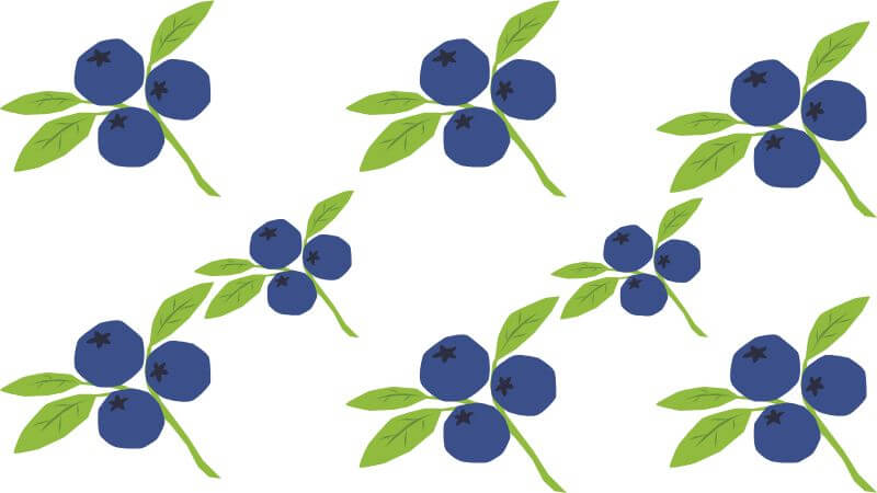 blueberries