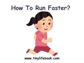 run tinylifebook