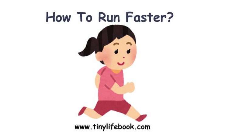 run tinylifebook