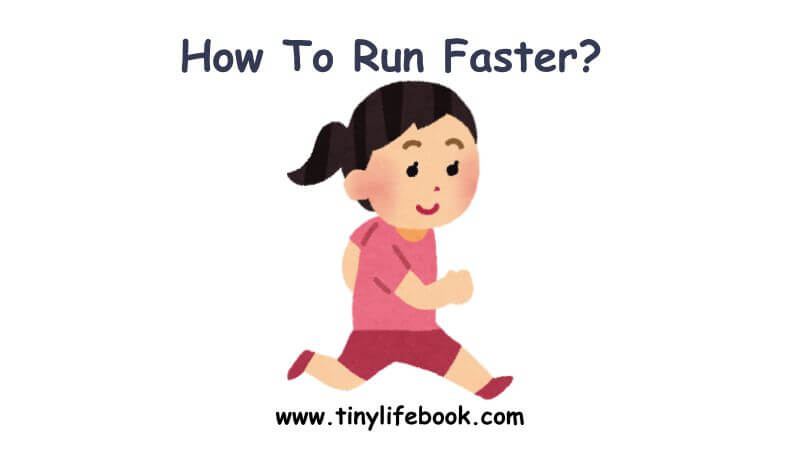 run tinylifebook