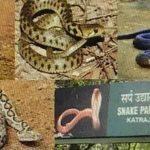 katraj snake park