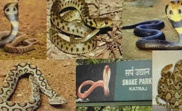 katraj snake park