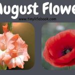 august birth month flower