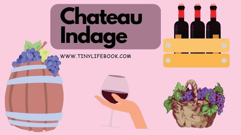 chateau indage