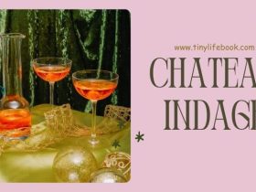 chateau indage