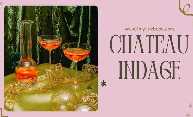 chateau indage