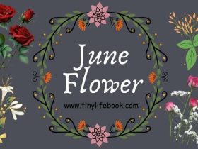 june birth month flower