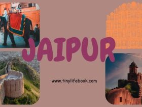 jaipur famous things
