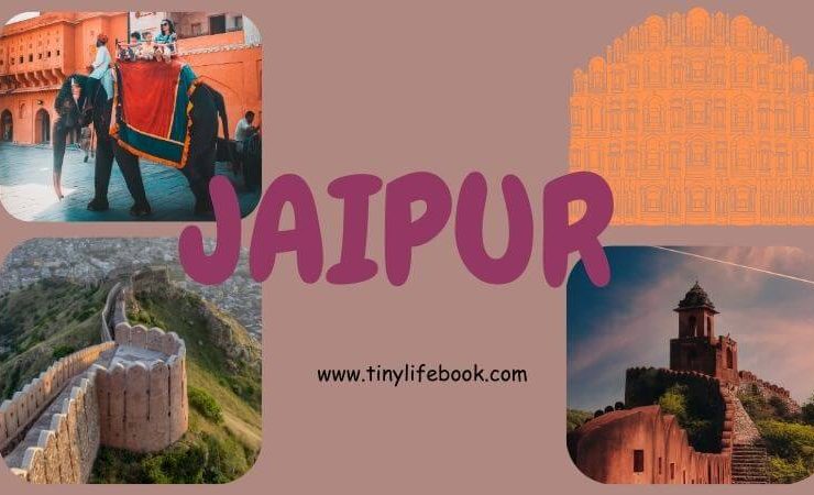 jaipur famous things