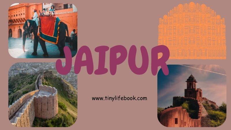jaipur famous things