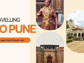 hans travels pune