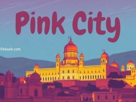 why is jaipur called the pink city of india