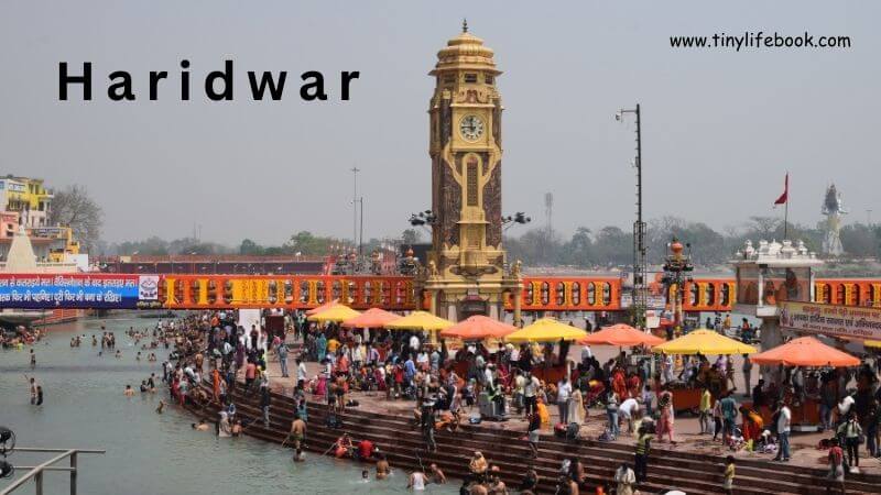 tour and travels in haridwar