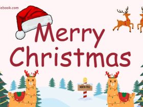 Christmas message wishes