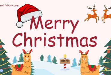 Christmas message wishes