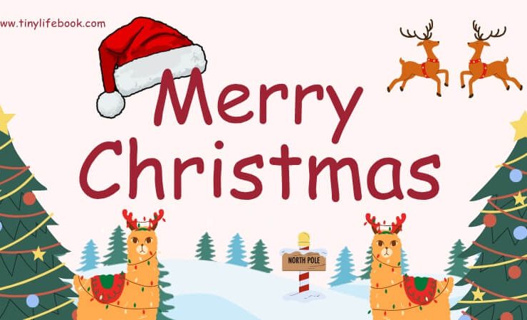 Christmas message wishes