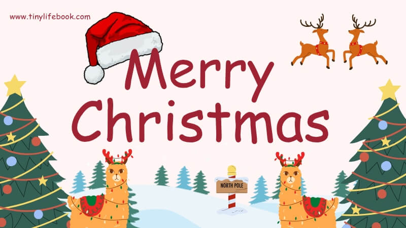 Christmas message wishes