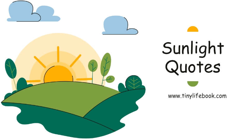 sunlight quotes